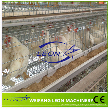 Preço do equipamento de aves da série Leon em gaiola de bateria com